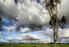 FB体育在线-教练战术精准，帮助球队取得胜利