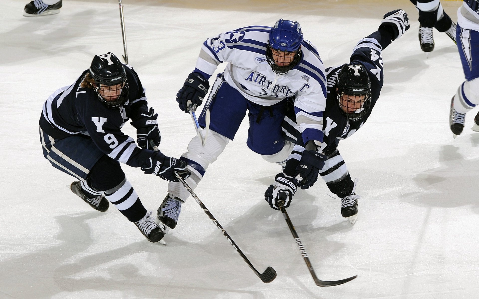 疾风知劲草，索伯轻取威廉姆斯背后的暗流，与汉密尔顿那团永不熄灭的火